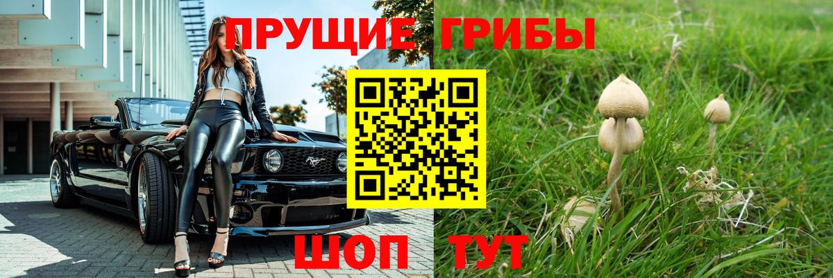 Феодосия  Псилоцибиновые грибы Cubensis  Галлюциногенные грибы Cubensis  Вход с VPN 