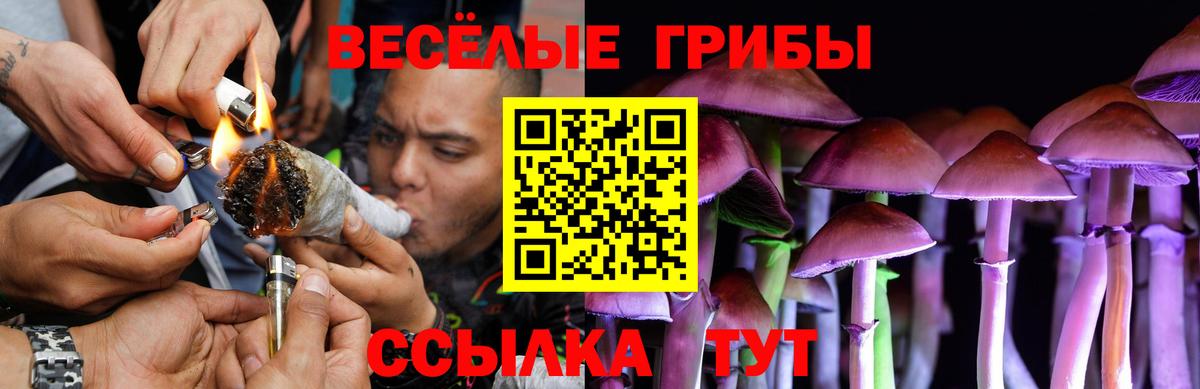 Галлюциногенные грибы прущие грибы Феодосия
